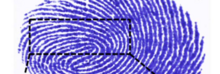 Teerahertz near-field array for μm-scale surface imaging (cropped).png