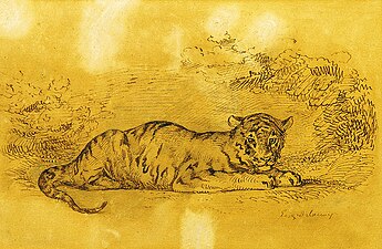 Tigre menteur, dessin au stylo et encre sur papier, 19 × 29 cm, Athènes, Collection du Parlement grec.