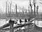 Soldiers of the 4th Australian Division crossing a duckboard track through Chateau Wood, Ypres on 29 October 1917