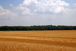 Atlantská pobřežní nížina v Marylandu