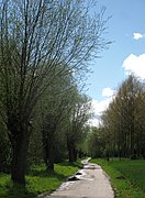 Wilgenweg - panoramio.jpg