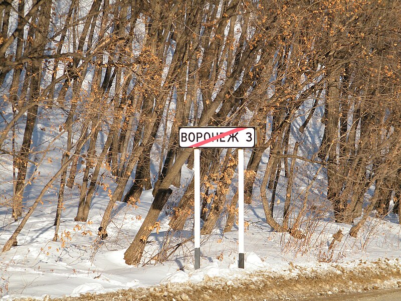 File:Село Воронежское-3 Хабаровский край ф2.JPG