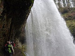 Behind Middle North Falls in Silver Falls State Park