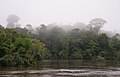 Image 4The Coppename river, one of many rivers in the interior (from Suriname)