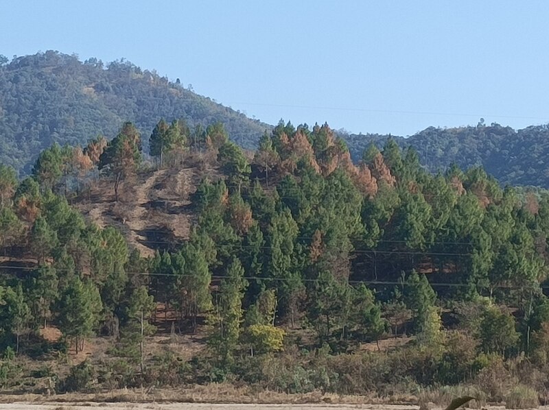 File:A small hillock in the Imphal Valley - Central plain of Kangleipak (Manipur) 08.jpg