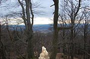 Blick von der Burgruine