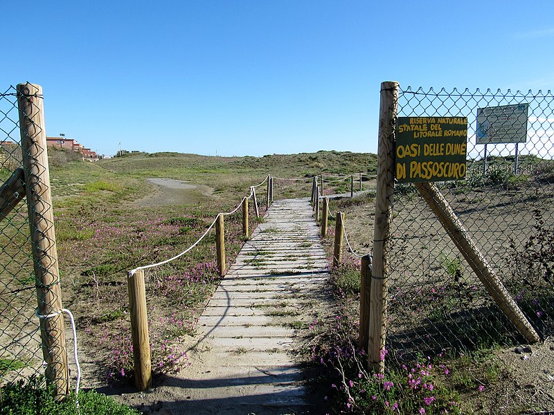 File:Passoscuro - Dune a nord, verso la spiaggia di Palidoro.jpg