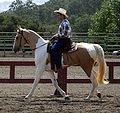 Tobiano palomino