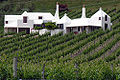 Te Mata Estate