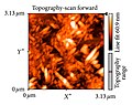 Crystallized cellulose