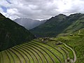 Terres de cultiu adossades al Perú, adoptades per l'Inca.