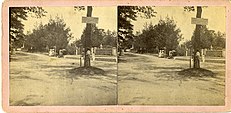 Rose Hill Cemetery from Central Ave., circa 1877