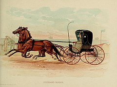 Studebaker Goddard Buggy met dubbelspan, 1893, artistieke impressie