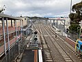 Northbound view, with a Comeng train on Platform 1 and the Sunbury stabling yard, November 2022