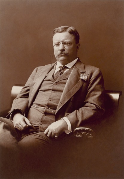 File:Theodore Roosevelt, three quarter-length portrait, seated left, facing forward, wearing flower in lapel.tif