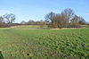 Tolworth Court Farm Fields