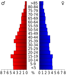 Schéma représentant la population du comté, par tranche d'âge. En rouge, à gauche, les femmes, en bleu à droite, les hommes.