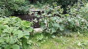 Brug 2177 was een speelse brug met een holle en bolle overspanning; brug is in 2017 afgebroken ter voorkoming van vandalisme aan de hermitage, dat door het verwijderen van de brug op een eiland kwam te staan.