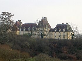 Image illustrative de l’article Château de Castillon (Arengosse)