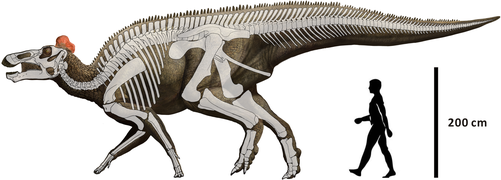 Edmontosaurus regalis.PNG