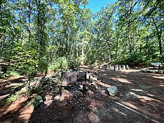 Henry David Thoreau's Cabin Site at Walden Pond.jpg