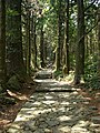 Kumano-kodo / 熊野古道 (World Heritage Site)