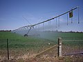 Centre Pivot Irrigation near Euberta, New South Wales