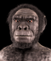 Homo habilis mwanamume