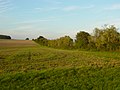 Limes zwischen Holzheimer Unterwald und Wp 4/49, Strecke 4, Taunus- und Wetteraulinie, Hessen.