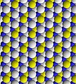 View of trioctahedral sheet of talc. Yellow spheres are hydroxyl; blue are magnesium. Apical oxygen binding sites are white.