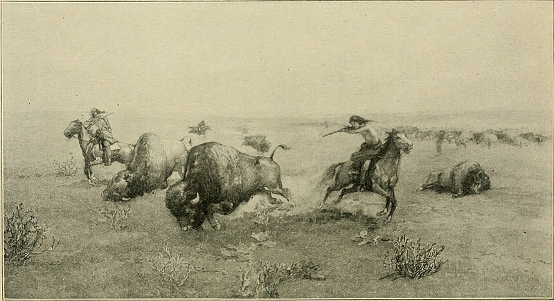 File:The border and the buffalo, an untold story of the southwest plains; the bloody border of Missouri and Kansas. The story of the slaughter of the buffalo. Westward among the big game and wild tribes. A (14782565853).jpg