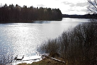 Wiks va Vetluga kuksa