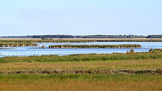 Oak Hammock padura, Manitoba