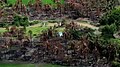 Image 23Aerial view of a burned Rohingya village in Rakhine state, September 2017 (from History of Myanmar)