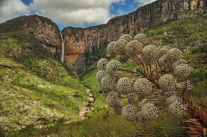 File:Cachoeira do Tabuleiro-MG.jpg