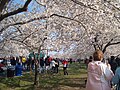 祭りの様子