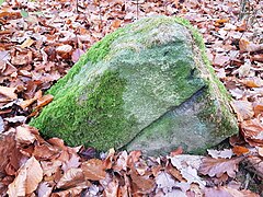 Grenzstein Klebwald (Esslingen am Neckar, Ostfildern) Nr 39 Seite 2, 2022-11-12.jpg