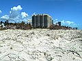 Sand Dune Vegetation Covered by Sand, 14th Street view towards north