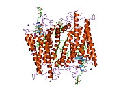 2hpy​: Crystallographic model of lumirhodopsin