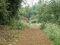 The Nene Way near Wadenhoe