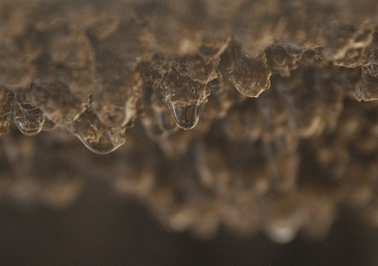 Droplet of water on a pop-corn formation in X-Cave in Carter Caves State Resort Park