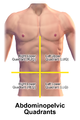 Abdominopelvic quadrants