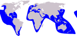 Aire de répartition de la Fausse Orque