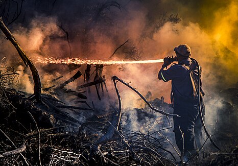 Third place: Firefighter fighting a battle against a veld-fire at Ashton Bay, Jeffreys Bay, Eastern Cape Province, Republic of South Africa. Attribution: StevenTerblanche (CC-BY-SA-4.0) 332 votes