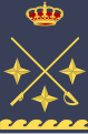 Teniente-general (Spanish Air Force)