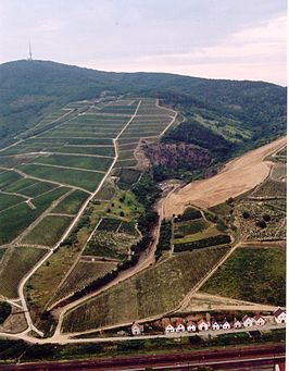 Wijnbouw in de regio Tokaj-Hegyalja