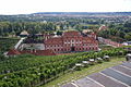 La vigne Sainte Claire au dessus du domaine