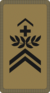 OR-6 - Sergent-major