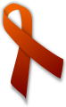 Orange and maroon ribbon