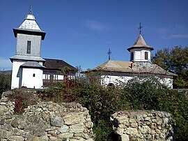 Bozianu manor in Sângeru